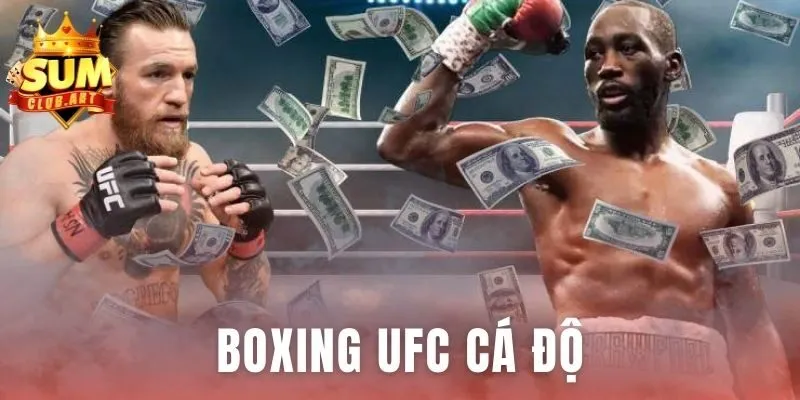 Boxing UFC Cá Độ